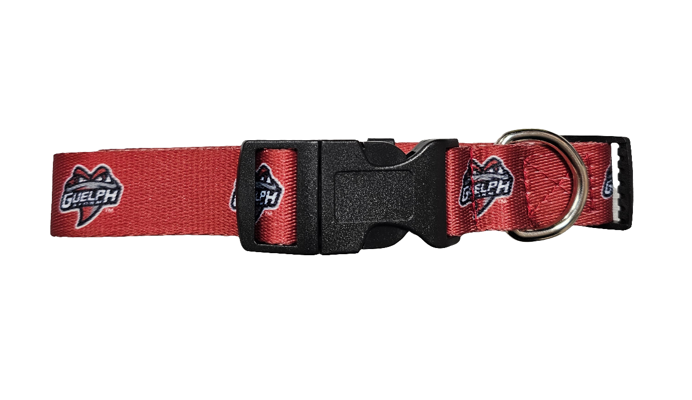 Storm Dog Collar