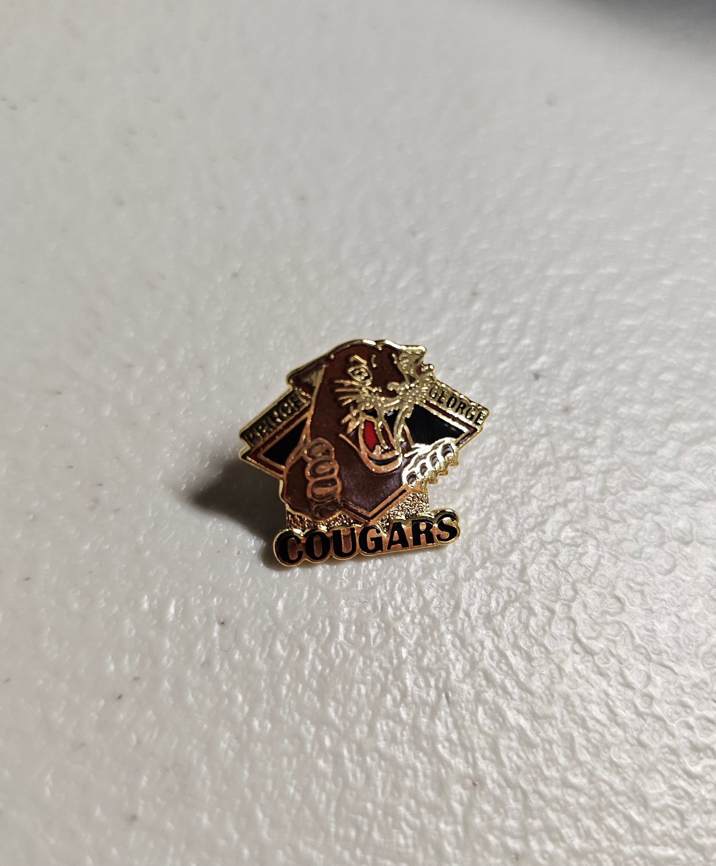 CHL Vintage/Current Lapel Pins