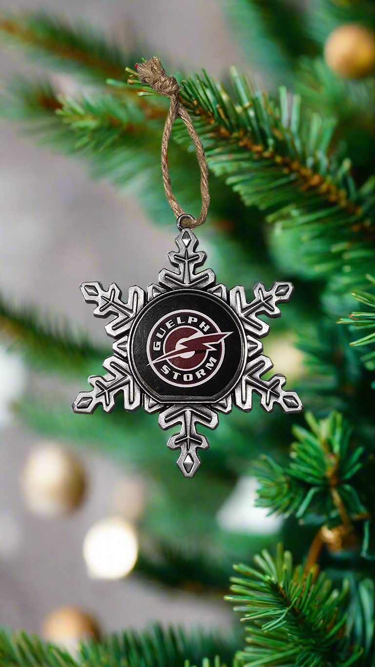 2025/2026 Christmas Ornaments.