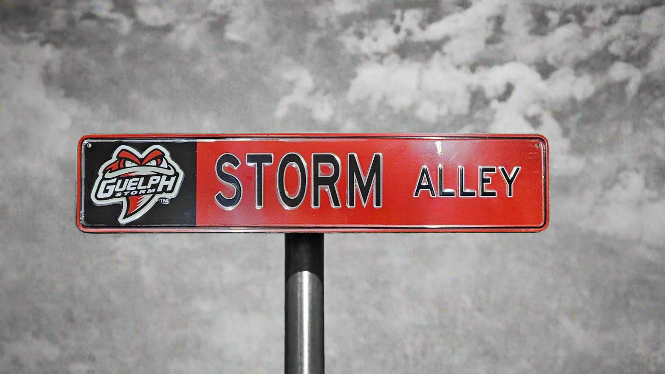 Storm Alley Street Sign